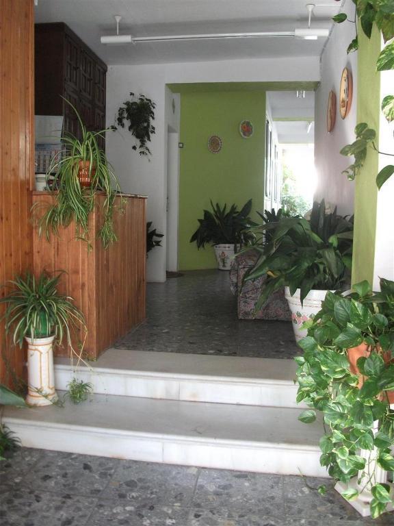 מיחאס Alojamientos Casa Tejon מראה חיצוני תמונה